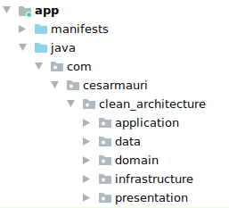 Screenshot showing five folders in the root of the project: application, data, domain, infrastructure and presentation